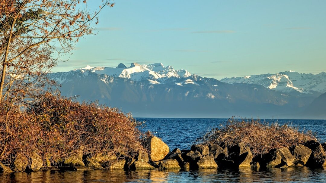 Vue panoramique des Alpes suisses avec lac et montagnes enneigées