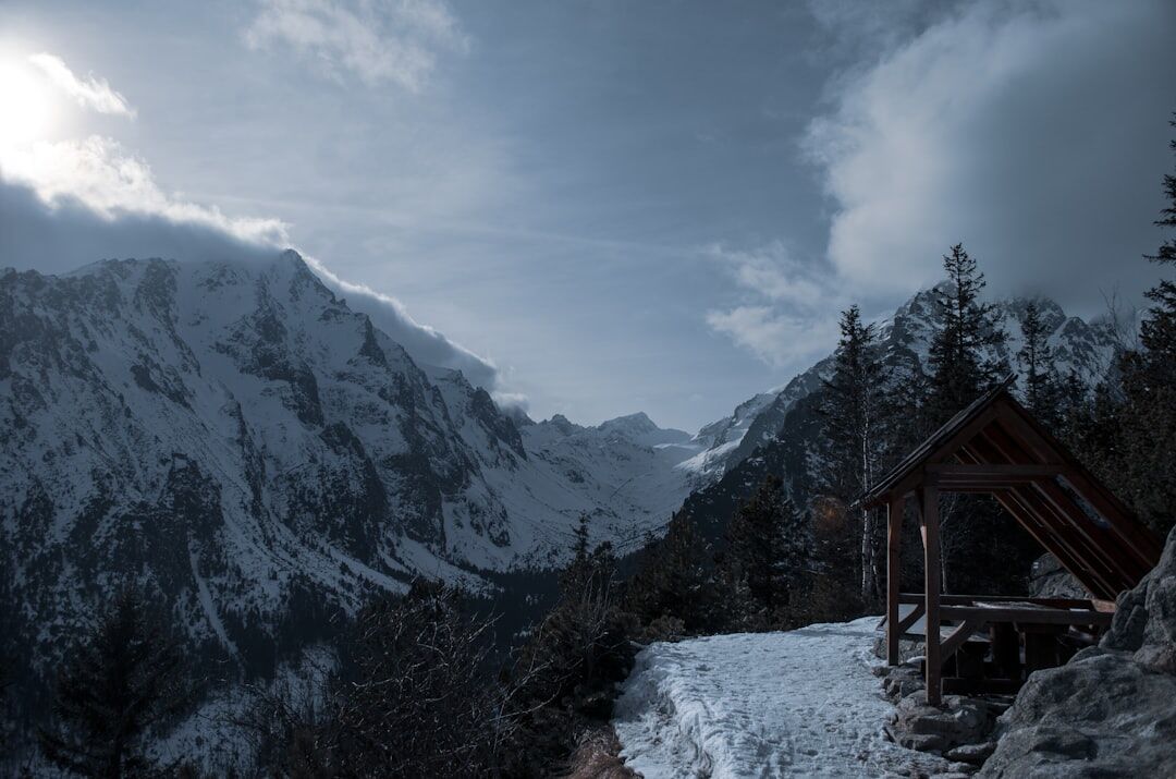 mountain chalet winter